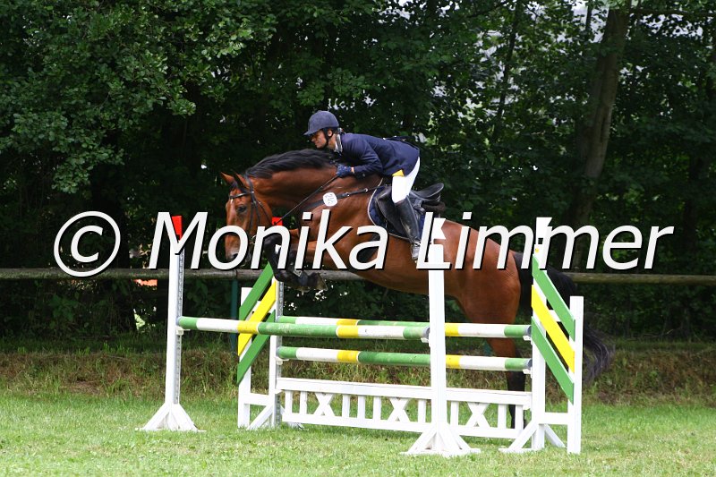 007L8090_Naxos_Spring Axx.JPG